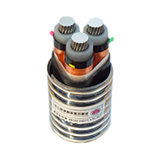 YJLHS、YJLHV22、YJLHV 8.7/15KV 中壓稀土高鐵鋁合金電纜